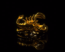 Gold Scorpion